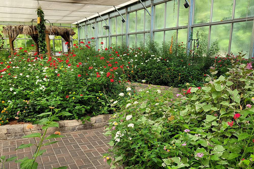 Inside Butterfly House