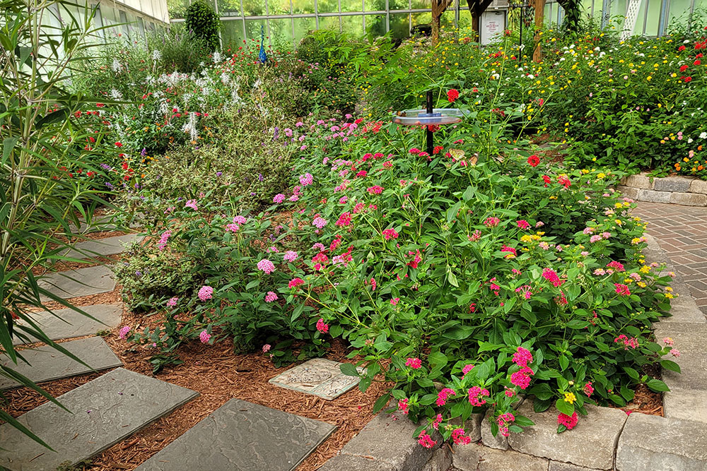 Inside Butterfly House